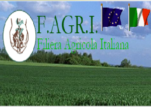 fagri-marcopolonews